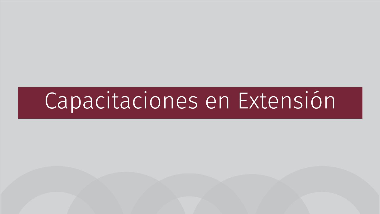 X Congreso Extensión